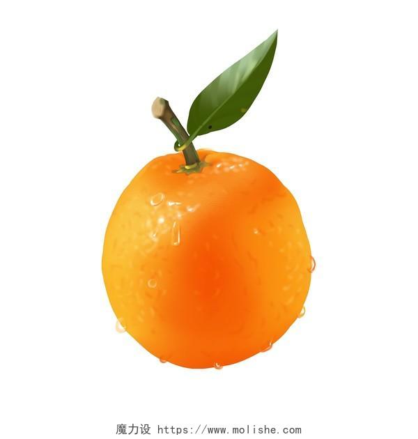 手绘写实水果卡通橙子PNG素材写实水果元素
